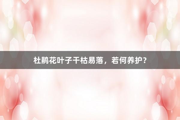 杜鹃花叶子干枯易落，若何养护？