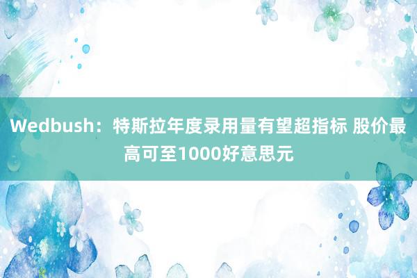 Wedbush：特斯拉年度录用量有望超指标 股价最高可至1000好意思元