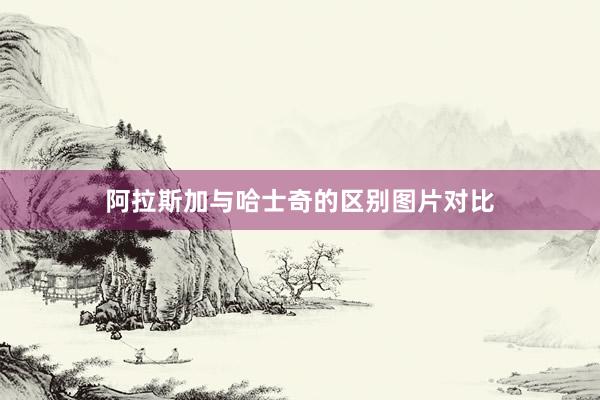 阿拉斯加与哈士奇的区别图片对比