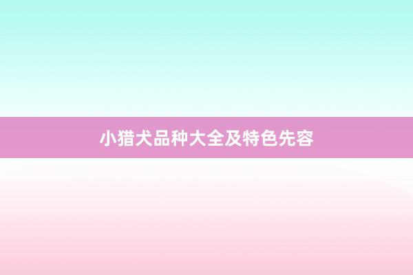 小猎犬品种大全及特色先容